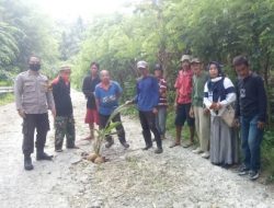 Ternyata, Jalan Rusak yang Ditanami Pohon di Segeri Majene, Sudah Makan Banyak Korban
