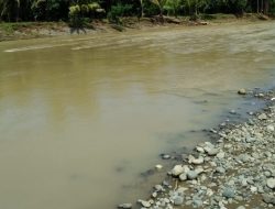 ODGJ di Sungai Mosso Malunda Terpelanting hingga Terseret Arus, Warga Mencari