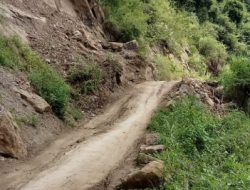 Sangat Memprihatinkan Kondisinya, Pick Up Berisi Kambing Terperosok di Jalan Desa Pao Pao