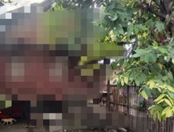 Geger, Sepasang Kakek Nenek di Majene Tertangkap Basah Selingkuh diatas Gubuk