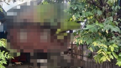 Geger, Sepasang Kakek Nenek di Majene Tertangkap Basah Selingkuh diatas Gubuk