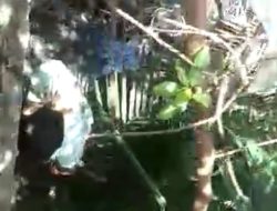 Detik-detik Warga Mamuju Ditemukan Tewas Gantung Diri di Jembatan Antang Makassar