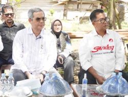 Puluhan Sapi Terindikasi Virus Jembrana di Kalukku, Ini yang Dilakukan Gubernur dan Wamentan