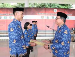 Kabar Gembira, 227 CPNS Pemprov Sulbar Formasi 2021 Terima SK PNS