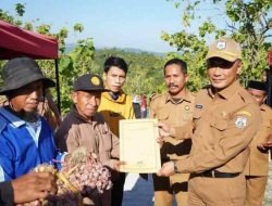 Dukung Budidaya Bawang Merah di Polman, Pj Gubsulbar Bakal Anggarkan Akses Jalan
