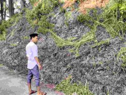 Kebakaran Hutan Pinus Akibatkan Puntung Rokok Pengunjung.