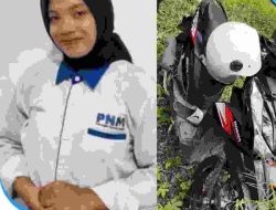 Karyawati PNM Ditemukan Tewas di Kebun Kelapa Pasangkayu, Diduga Dibonceng Suami Nasabah