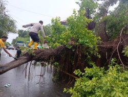 Hujan Deras Disertai Angin Kencang Lumpuhkan Aktivitas di Majene