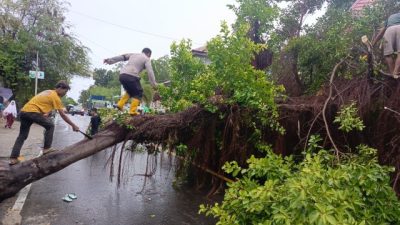 Hujan Deras Disertai Angin Kencang Lumpuhkan Aktivitas di Majene