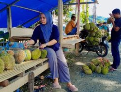 Fakta Harga Durian di Malunda Dipengaruhi Ukuran, Jenis, dan Biaya Distribusi