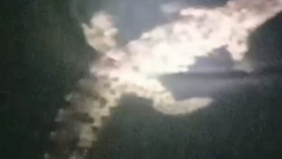 Heboh Buaya Masuk Sungai Dekat Permukiman Warga di Malunda