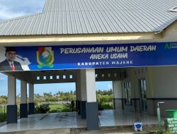 Perusda Majene Mandek di Tengah Peluang Emas PAD