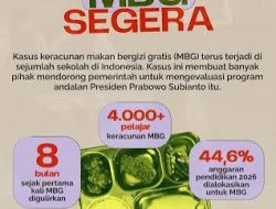 Pernyataan Menko Pangan Tak Sejalan di Majene: Dari 23 Dapur MBG, Hanya 7 Kantongi Sertifikat Higiene