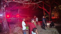 Damkar Majene dan PLN Kembali Berjibaku Jinakkan Kebakaran Hutan di Malunda, Api Dekati Jaringan Listrik