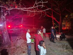 Damkar Majene dan PLN Kembali Berjibaku Jinakkan Kebakaran Hutan di Malunda, Api Dekati Jaringan Listrik