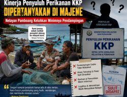 Kinerja Penyuluh Perikanan KKP di Majene Dipertanyakan, Nelayan Klaim Jarang Dapat Pendampingan